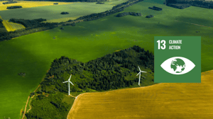 SDG 13 Climate Action Through Carbon Management - TE