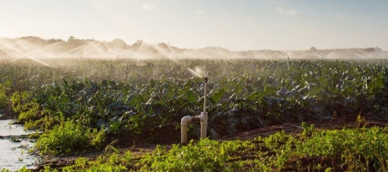 Sustainable Irrigation Systems