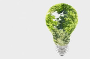 Avoid Greenwashing In Sustainability Reporting