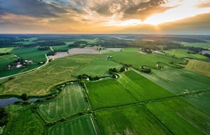 Uk Land Use Impacts